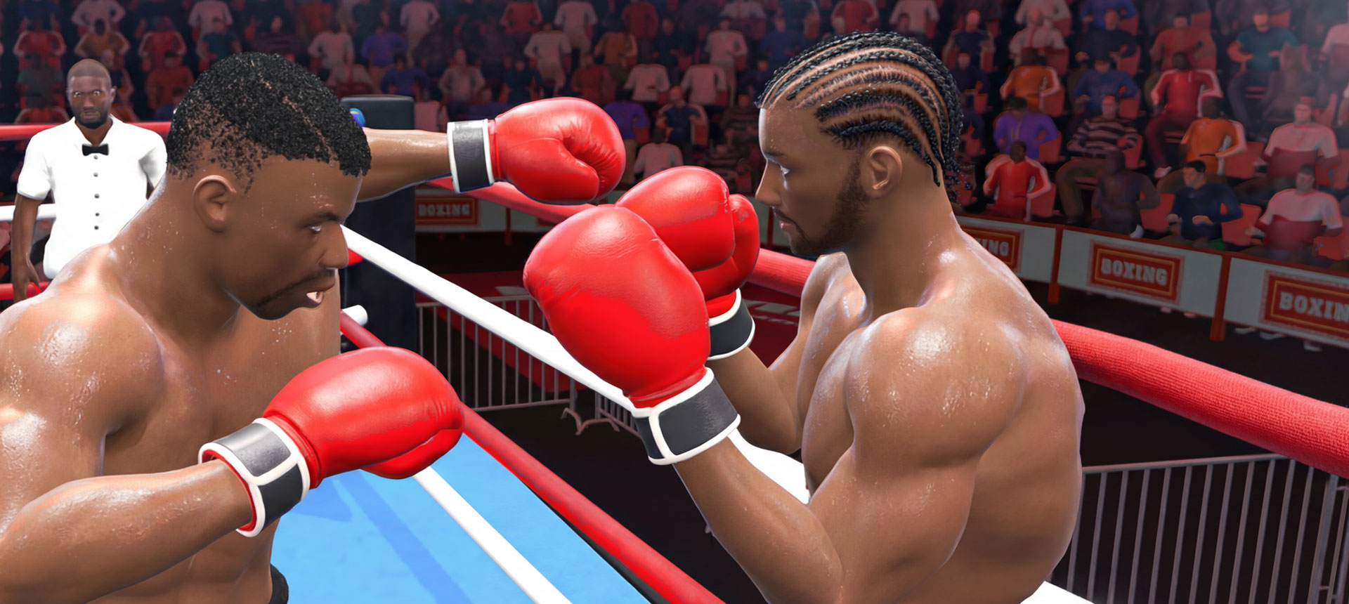 Boxing game for PC and consoles
